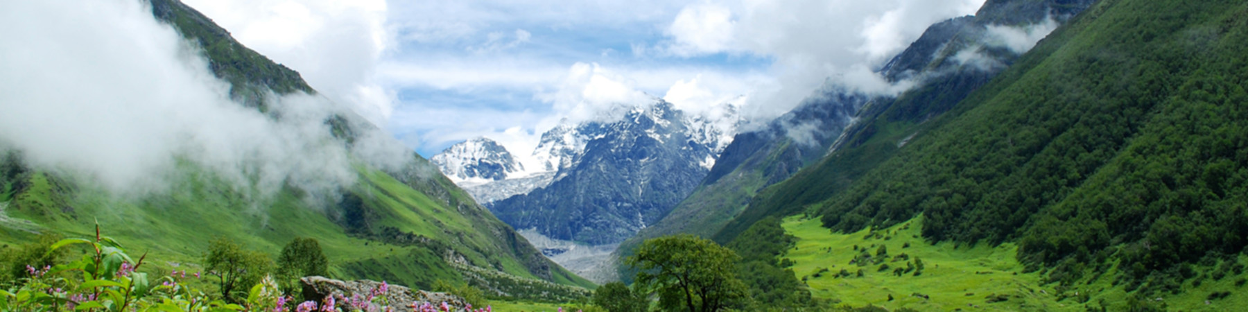Tour And Travel Company in Jammu